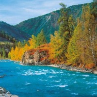Фотообои Твоя планета С4-036 194х136 см
