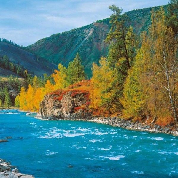 Фотообои Твоя планета С4-036 194х136 см