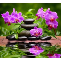 Фотообои Divino Decor Дзен C-146 300х270 см