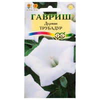 Дурман «Трубадур»