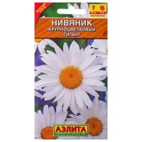 Нивяник крупноцветковой «Гигант»