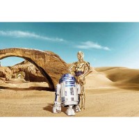 Фотообои Komar STAR WARS Lost Droids 8-484 368х254 см