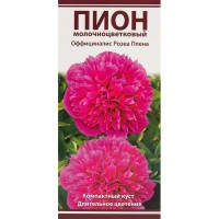 Пионы травян Оффициналис Розеа Плена