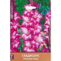 Гладиолус крупноцветковый «Реполло Рохо»