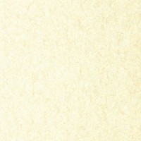 Виниловые обои York Wallcoverings розовые NB780701 0.52 м