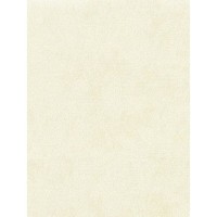 Обои виниловые Verbena 6016-04, 1.06х10.05