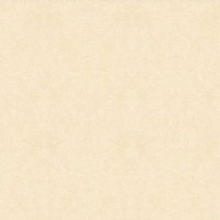 Обои виниловые Aura Texture World бежевые 0.53 м 192301