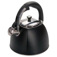 Чайник Regent inox Теа 93-TEA-31, 3 л