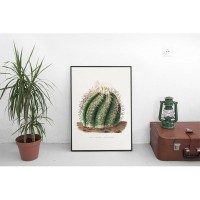 Плакат "34;Просто Постер "34; Кактус Эхинопсис 90x120 в подарочном тубусе 291022536651