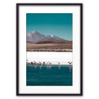 Постер Дом Корлеоне Фламинго на водопое 07-0418-50х70, 50х70 см