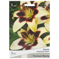 Лилия азиатская Танго «Патриция Прайд»
