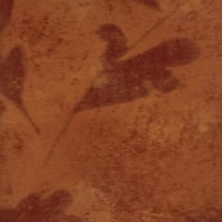 Виниловые обои York Wallcoverings коричневые AF9541 0.68 м