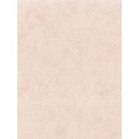 Обои виниловые Verbena 6016-08, 1.06х10.05