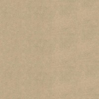 Обои флизелиновые Мир Авангард коричневые 1.06 м 45-212-01