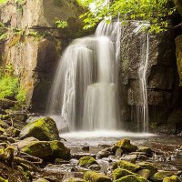 Фотообои Divino Decor Водопад в реликтовом лесу C-092 300х270 см