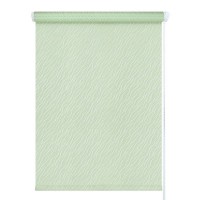 Рулонная штора LEGRAND 58068798 175х80.5 см. Салатовый