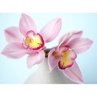 Фотообои Divino Decor Орхидея C-320 200х147 см
