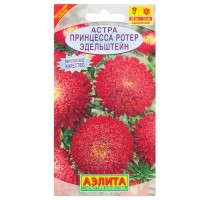 Астра «Принцесса Ротер Эдельштейн»