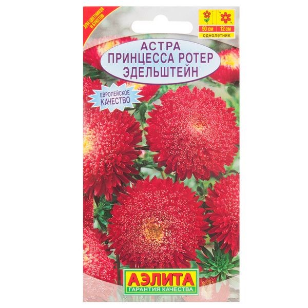 Астра «Принцесса Ротер Эдельштейн»