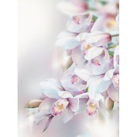 Фотообои Divino Decor Нежная орхидея Р-068 200х270 см