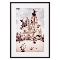 Постер Дом Корлеоне Голуби Нотр-Дам 07-0204-30х40, 30х40 см
