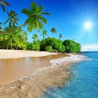 Фотообои Divino Decor Дикий пляж C-002 300х270 см