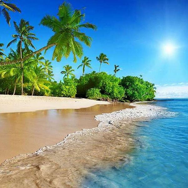 Фотообои Divino Decor Дикий пляж C-002 300х270 см