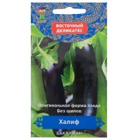 Семена Баклажан «Халиф»