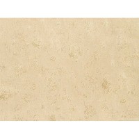Обои флизелиновые De Visu Erismann бежевые 1.06 м 4313-2