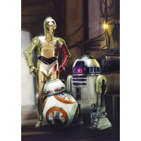 Фотообои Komar STAR WARS Three Droids 4-447 184х254 см