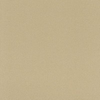 Обои флизелиновые Rasch Seduction 2014 коричневые 0.53 м 796292