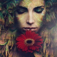 Фотообои Divino Фантазия E-075 200х270 см