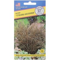 Осока «Туманы амазонки»