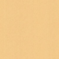 Обои флизелиновые Мир Авангард бежевые 1.06 м 45-194-01