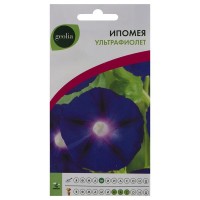 Ипомея Geolia «Ультрафиолет»