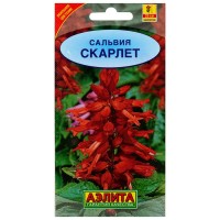 Сальвия сверкающая «Скарлет»