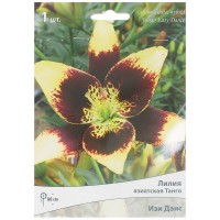 Лилия азиатская Танго «Изи Данс»