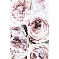 Картина на холсте «Нежные пионы 3» 40x60 см