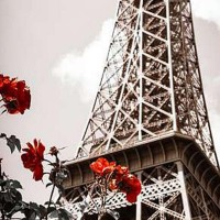Фотообои Divino Decor Весна в Париже A-085 100х270 см