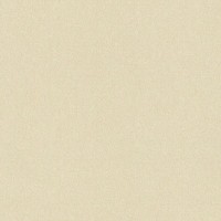 Обои флизелиновые Rasch Maximum XIV бежевые 1.06 м 949926
