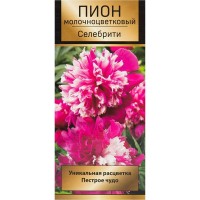 Пионы травянистые Селебрити