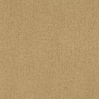 Обои флизелиновые Rasch Globe коричневые 1.06 м 939118