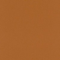 Обои флизелиновые Rasch Seduction 2014 оранжевые 0.53 м 796223