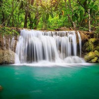 Фотообои Divino Decor Лесной водопад C-017 300х238 см