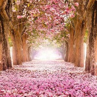 Фотообои Divino Decor Цветущие деревья C-249 200х270 см