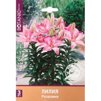 Лилия «Розалин»