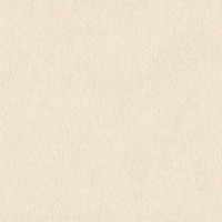 Обои флизелиновые Rasch African Queen бежевые 0.53 м 422627
