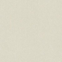 Обои флизелиновые Rasch Maximum XIV бежевые 1.06 м 949940