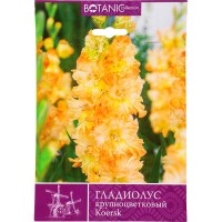 Гладиолус крупноцветковый «Курск»