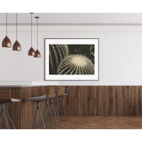 Плакат "34;Просто Постер "34; Колючий кактус 90x120 в подарочном тубусе 434639186621